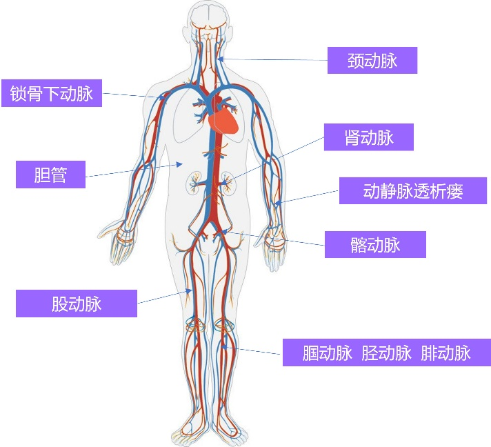 &#20048;&#21160;&#23448;&#26041;&#32593;&#39029;&#29256;&#45;&#20048;&#21160;&#40;&#20013;&#22269;&#41;